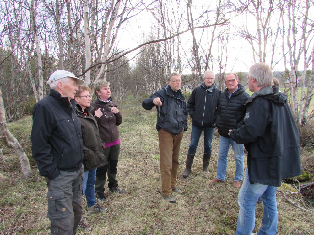Gamle ferdselstraséer