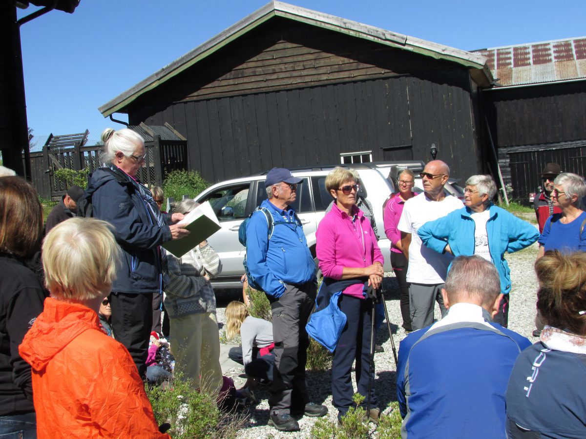 Vandring i Erlidalen