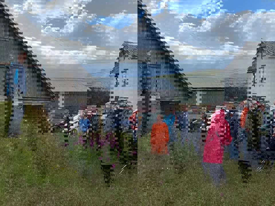 Grådalen – bosetting og geologi