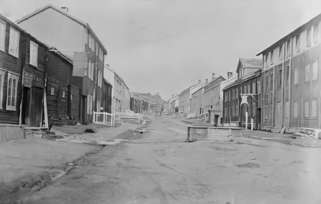 Engzelius’ garveri